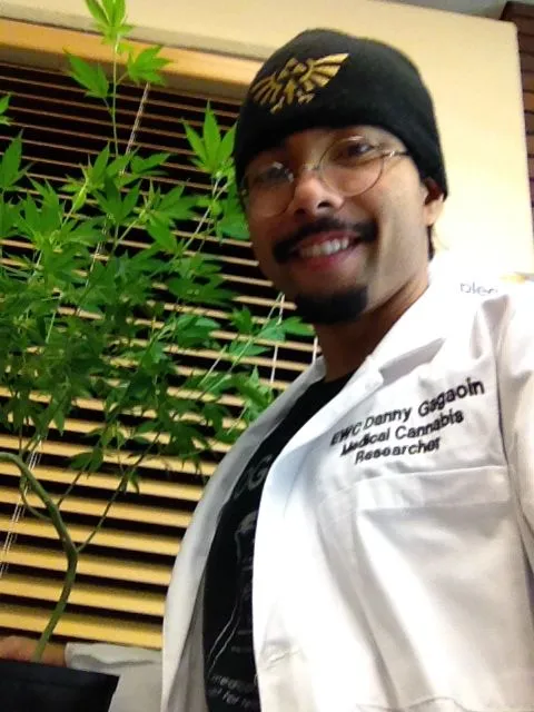 Danny Gagaoin: medical cannabis research