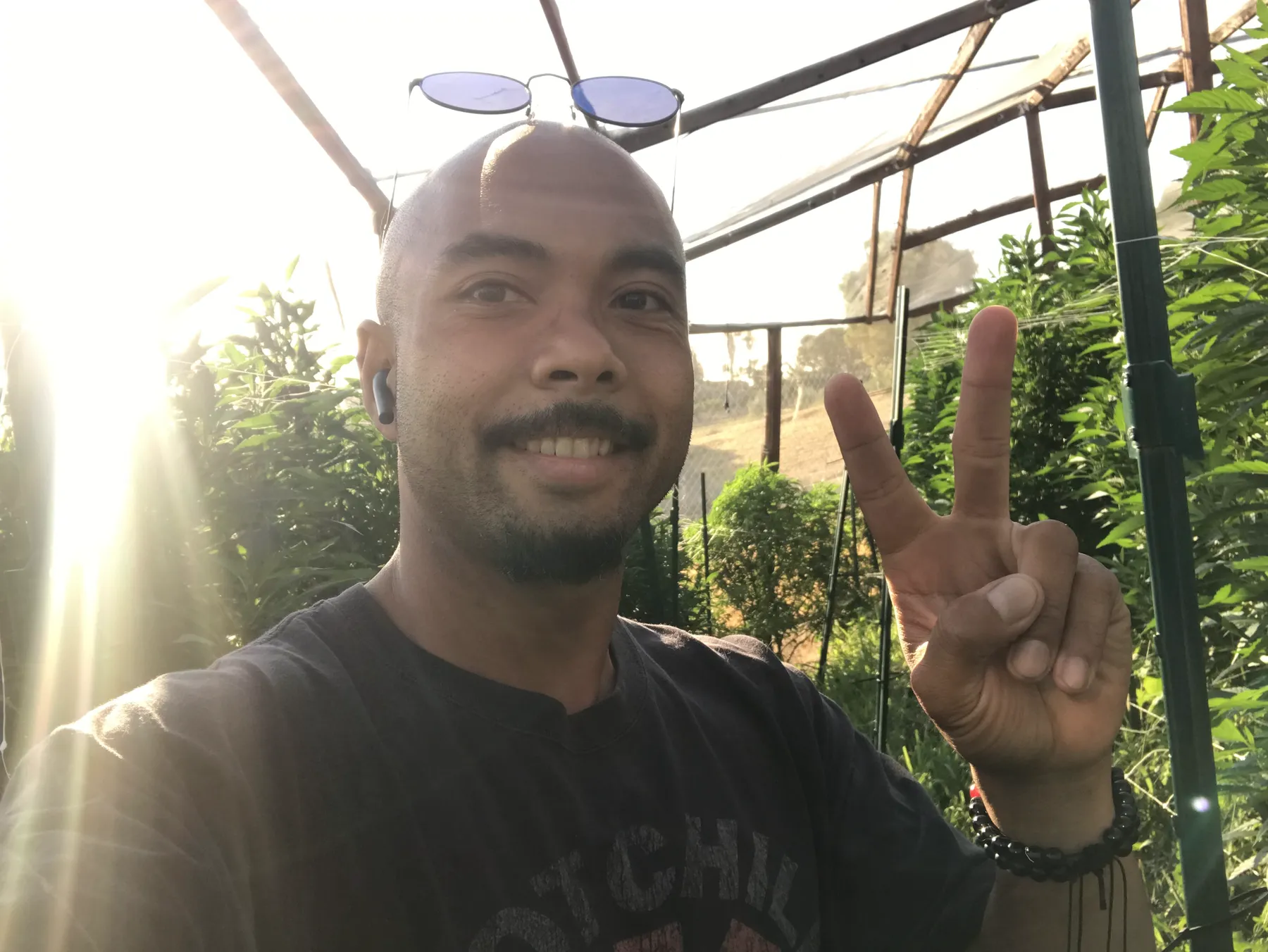 Danny Gagaoin: outdoor, full sun