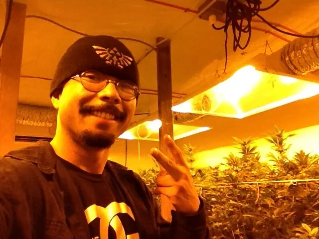 Danny Gagaoin: indoor flower, under hps