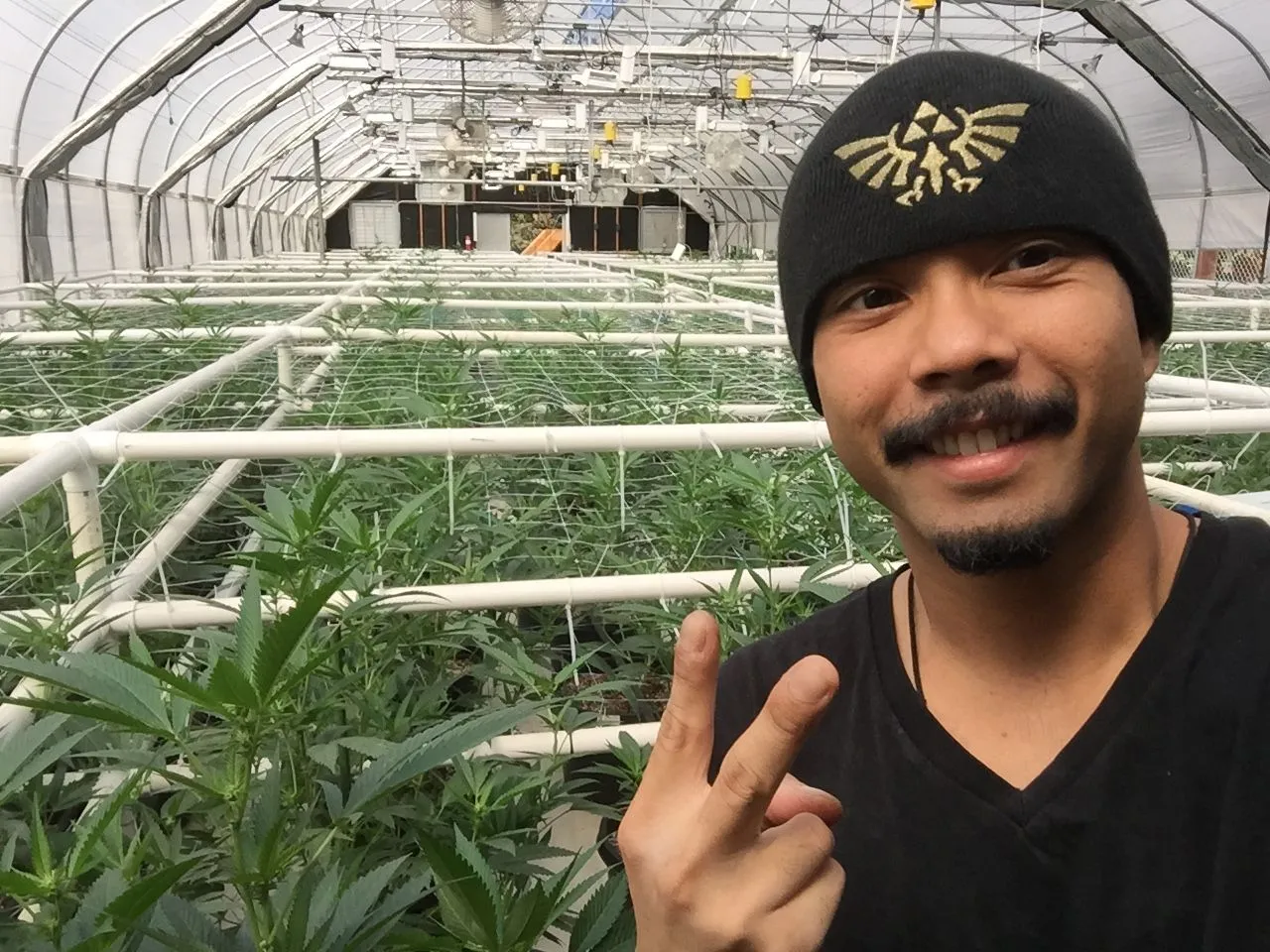Danny Gagaoin: high-tech greenhouse