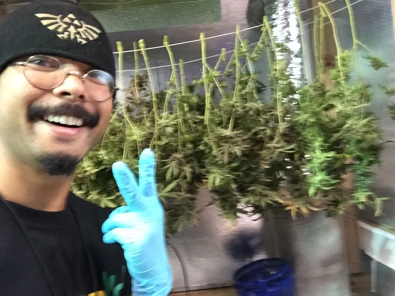 Danny Gagaoin: drying room