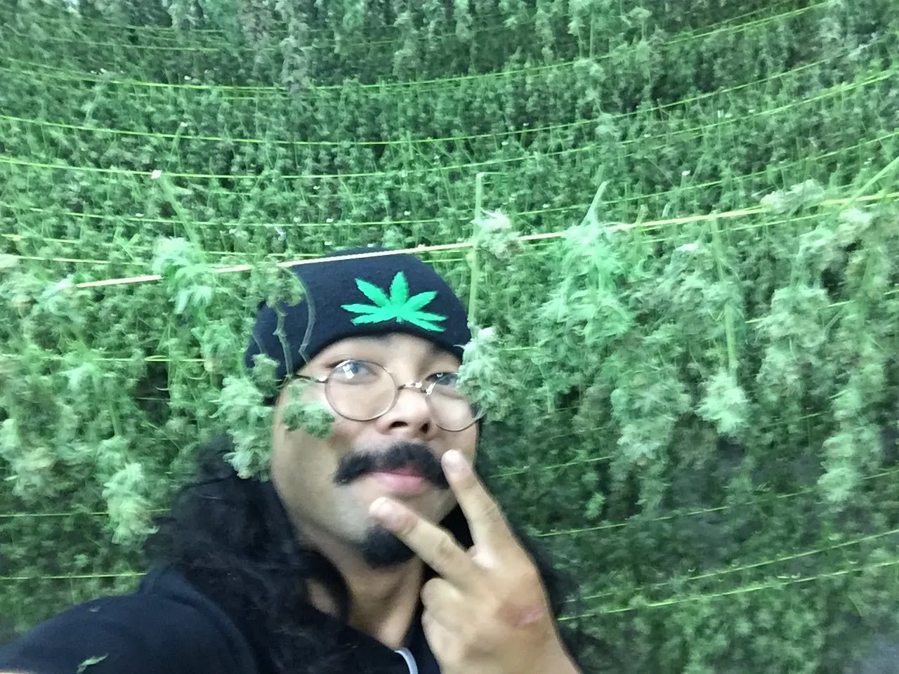 Danny Gagaoin: hang-drying