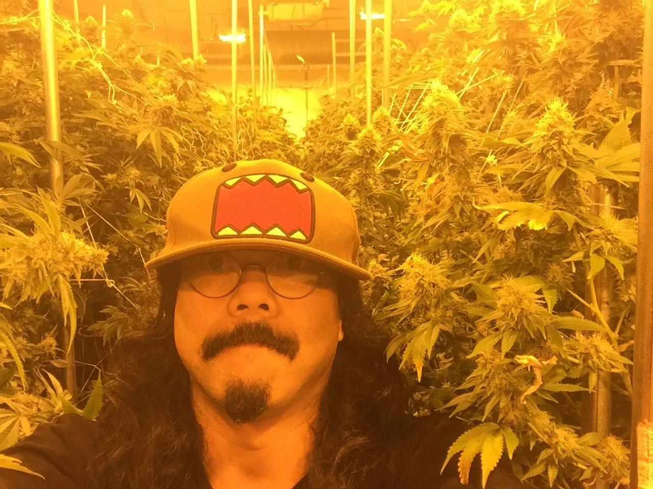 Danny Gagaoin: indoor flower room