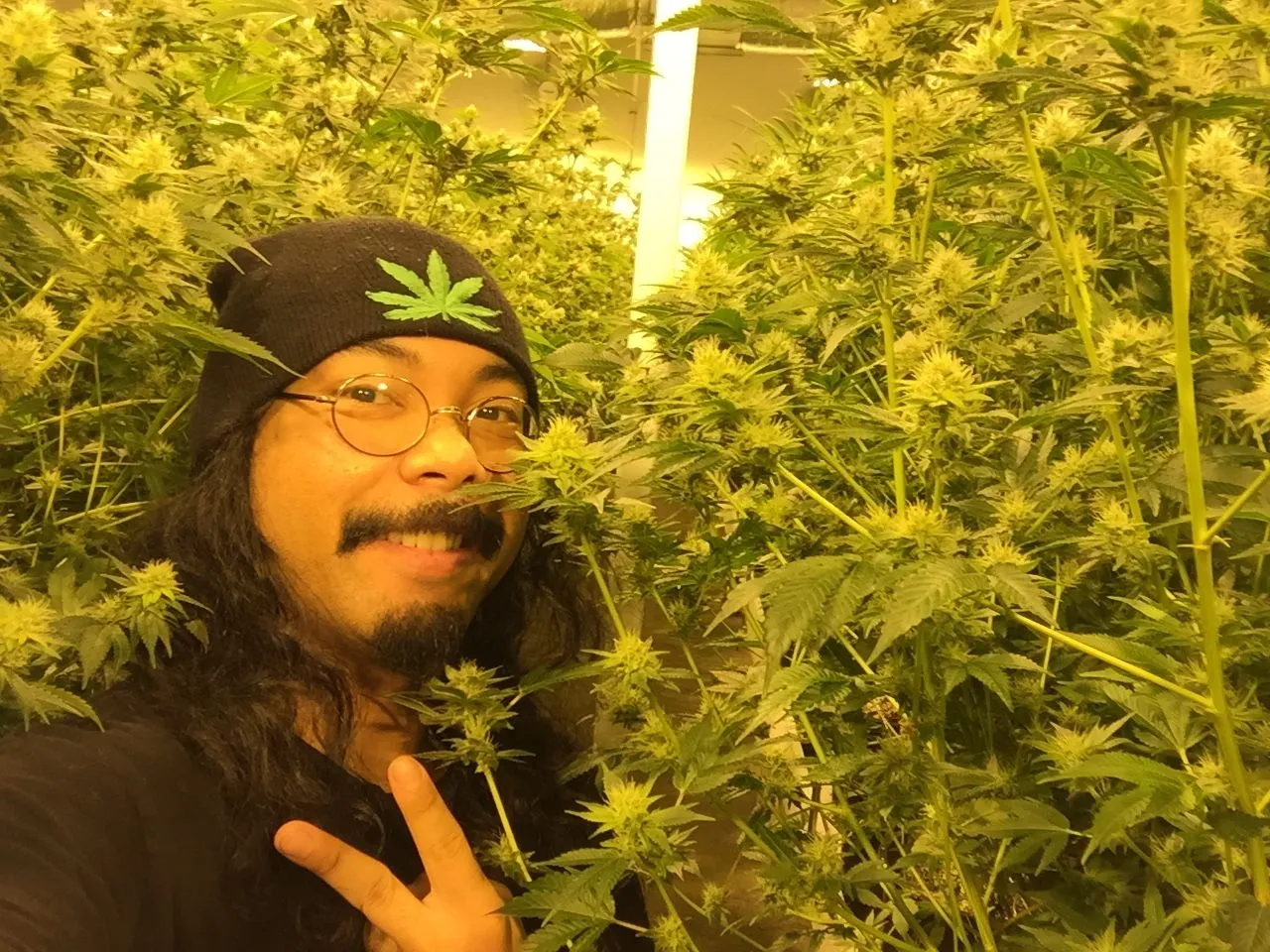 Danny Gagaoin: in the canopy