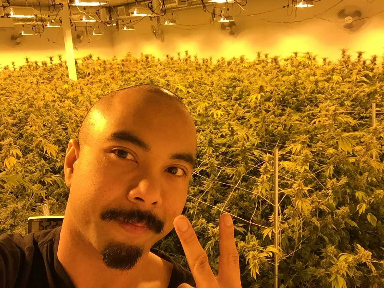 Danny Gagaoin: commercial indoor flower