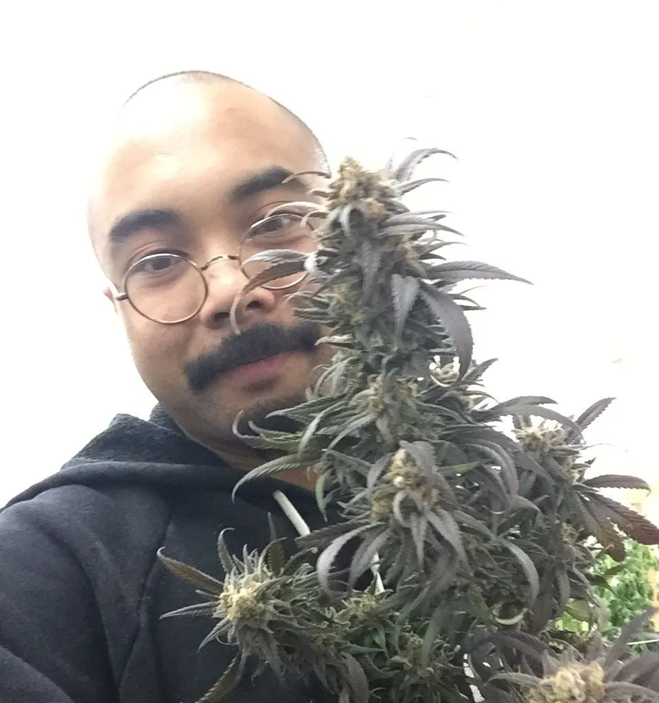 Danny Gagaoin: one heavy branch