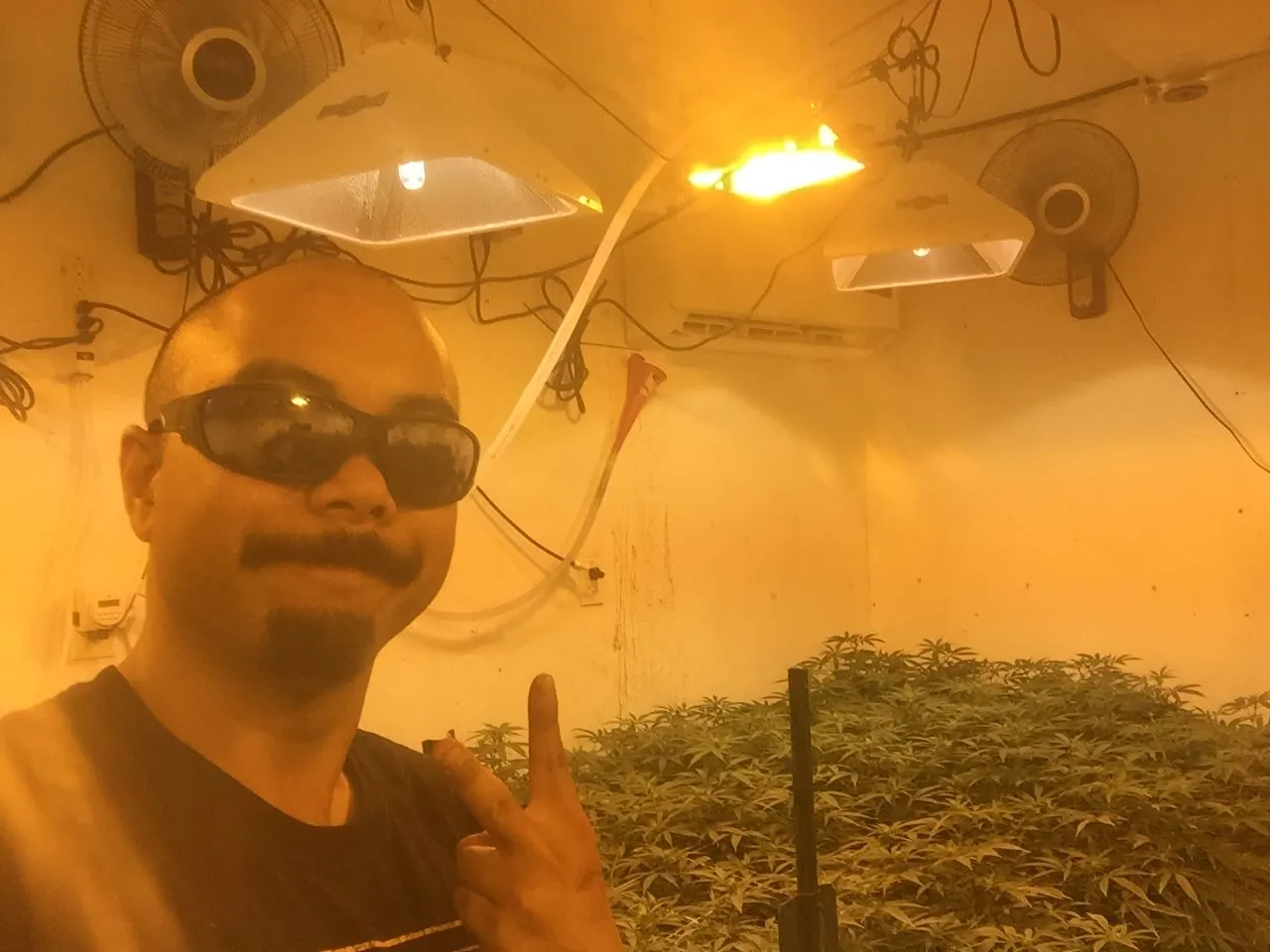 Danny Gagaoin: under hps, sunglasses on
