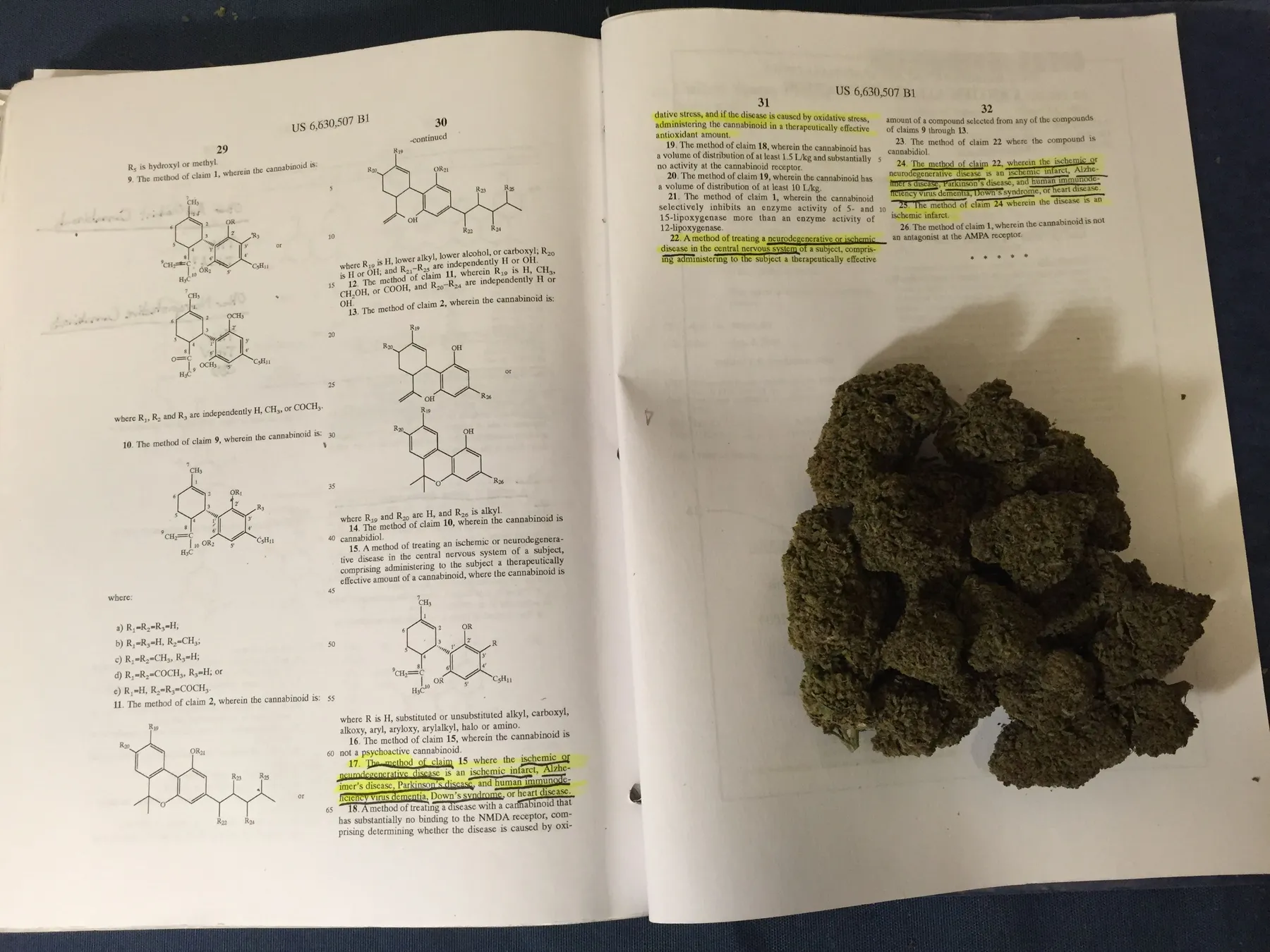 Danny Gagaoin: cannabinoid chemistry