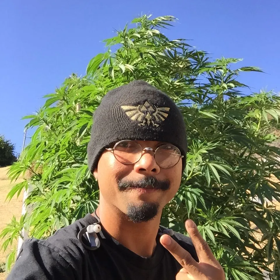 Danny Gagaoin: outdoor, full sun