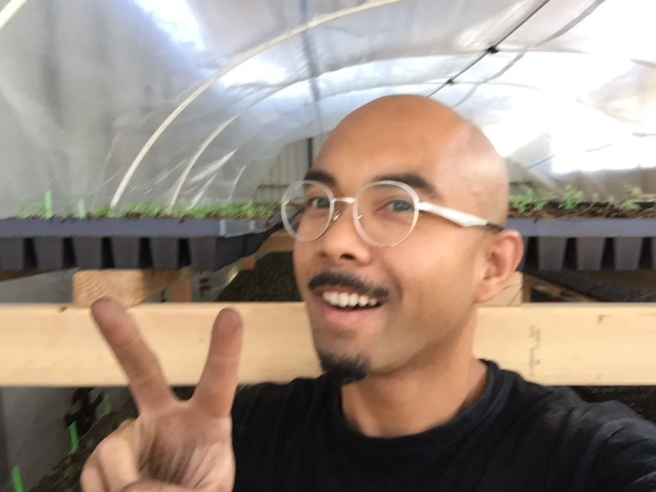 Danny Gagaoin: hoop house, seedlings